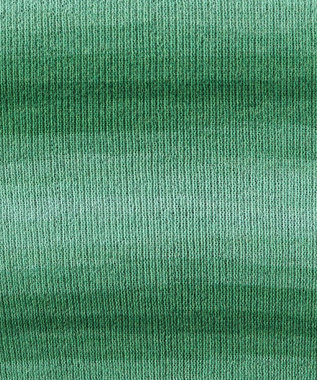 WEGO グラデーションちびニットT グリーン