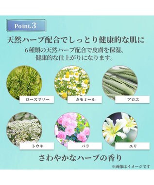 PET PARADISE ペットパラダイス  薬用 イオウ シャンプー 300ｍＬ  国産 -