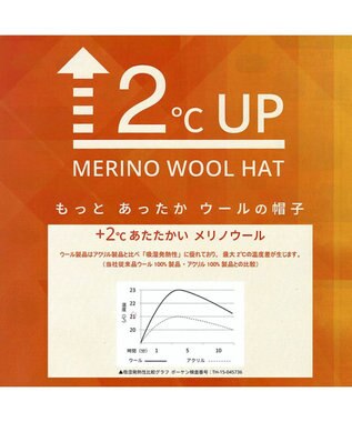 ATRENA メリノウールバスクベレー グレージュ