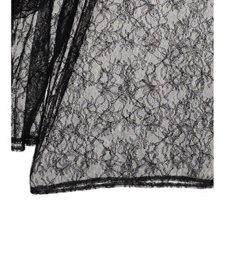 Green Parks ・ＡＮＤ　ＳＥＡＲＣＨ　レーシーラッフルスリーブチュニック Black