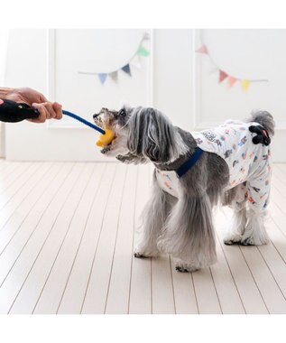 PET PARADISE リサとガスパール ロープトイ 《ガスパール》 ネイビー