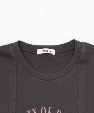 WEGO 【ユニセックス着用ITEM/MLサイズ展開】ドッキングカレッジスウェT（SS） スミクロ