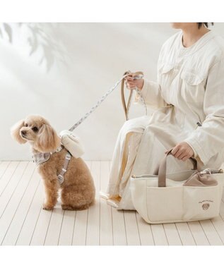 PET PARADISE ペットパラダイス くまちゃん リュック付き ハーネス ＳＳ 小型犬 ベージュ