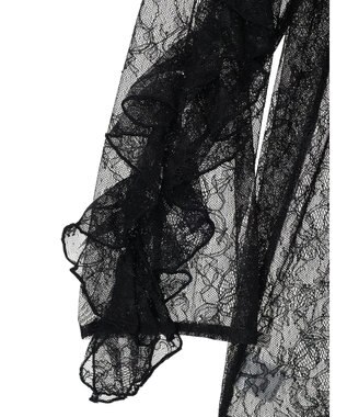 Green Parks ・ＡＮＤ　ＳＥＡＲＣＨ　レーシーラッフルスリーブチュニック Black