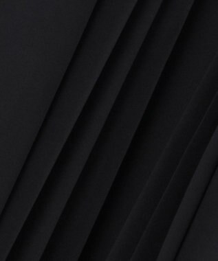 J.PRESS LADIES S 【WEB限定カラーあり】TC ライトタンブラー プリーツ スカート 【WEB限定】ブラック系