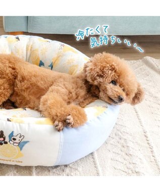 PET PARADISE リサとガスパール シトラス クールカドラー Ｍ ホワイト×ブルー