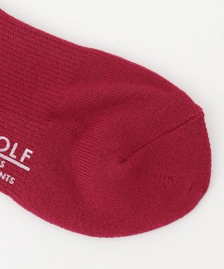 23区GOLF 【WOMEN】ロゴハイソックス ワイン系