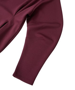 Green Parks ・ＳＵＧＡＲ　ＳＰＯＯＮ　フォルムスリーブプルオーバ Bordeaux