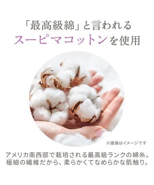 BRADELIS New York 【BRADELIS NewYork peace】ウエストカシュクールショーツ23 新作 パールグレージュ