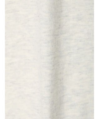 Green Parks ■Ｃｈａｍｐｉｏｎ　リンガーＴ Gray