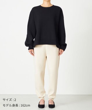 NAVE 【ReNAVE・洗える】スムースニット プルオーバー ブラック系