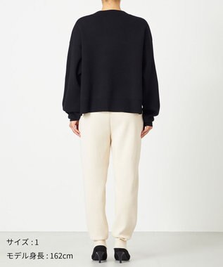 NAVE 【ReNAVE・洗える】スムースニット プルオーバー ブラック系