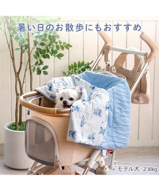 PET PARADISE ディズニー スティッチ もちっと クール ブランケット ホワイト×ブルー