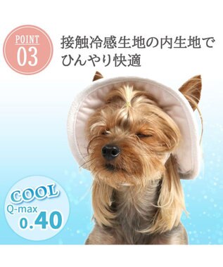 PET PARADISE ペットパラダイス レース クール ハット ４Ｓ～３Ｓ/ＳＳ～Ｓ 小型犬 ベージュ