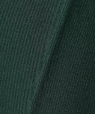 ANY L 【洗濯機可/ストレッチ/ウエストゴム/裏起毛】マルチファンクションストレッチワイドパンツ グリーン