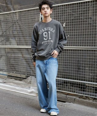 WEGO 【ユニセックス着用ITEM】ピグメントグラフィックプルオーバー 柄2