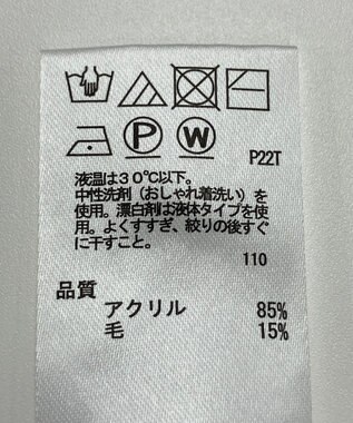 ONWARD Reuse Park 【any SiS】ニット秋冬 ブラウン