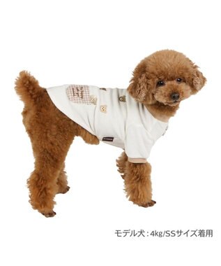 PET PARADISE ペットパラダイスくまちゃん サーモキープ Ｔシャツ 超小型犬 小型犬 ホワイト×ブラウン