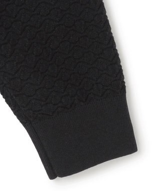 JOSEPH HOMME 新型【洗える】ヴィスコースリンクス　モックネックニット ブラック系