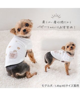 PET PARADISE ペットパラダイスくまちゃん サーモキープ Ｔシャツ 超小型犬 小型犬 ホワイト×ブラウン