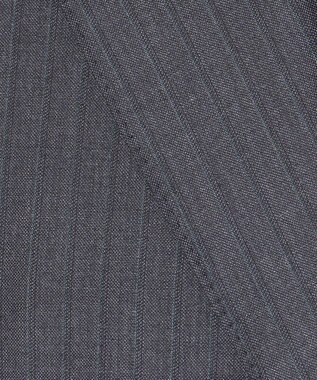 GOTAIRIKU GOLD LABEL/WEB&一部店舗限定【DORMEUIL/ドーメル】インペリアルジェイド 通年スーツ(グレー) グレー系1