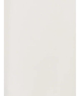 Te chichi 【WEB限定カラーあり】フロントレースブラウス オフホワイト