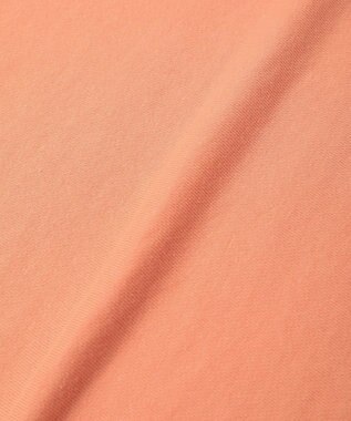 Green Parks 刺しゅうロゴ裏毛プルオーバー Orange