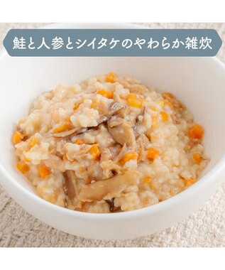 PET PARADISE 愛犬にやさしい スープごはん 鮭 0