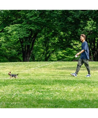 PET PARADISE ペットパラダイス 伸縮リード 《いちご柄 / ロゴ柄 》【小型犬】軽量 ロック式 いちご柄