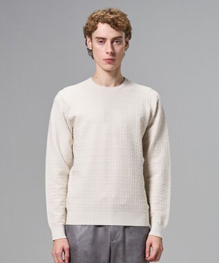 JOSEPH HOMME 新柄【イージーケア】 ヴィスコースリンクス　クルーネックニット アイボリー系