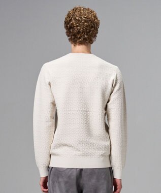 JOSEPH HOMME 新柄【イージーケア】 ヴィスコースリンクス　クルーネックニット アイボリー系
