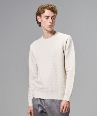 JOSEPH HOMME 新柄【イージーケア】 ヴィスコースリンクス　クルーネックニット