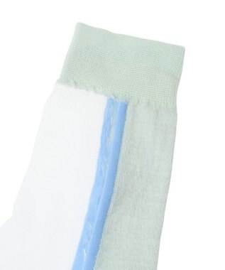 Green Parks ＪＡＭＧＡＲＤＥＮ　シアーラインラメソックス Light Green