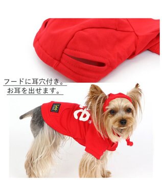 PET PARADISE 犬の服 犬 服 秋冬 Ｌｅｅ パーカー 【小型犬】 白 ロゴ レッド イエロー 赤