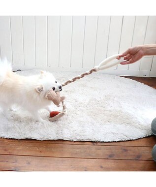 PET PARADISE  ペットパラダイス ロープ 編みトイ くま 茶系