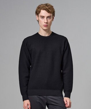 JOSEPH HOMME 新柄【イージーケア】 ヴィスコースリンクス　クルーネックニット ブラック系