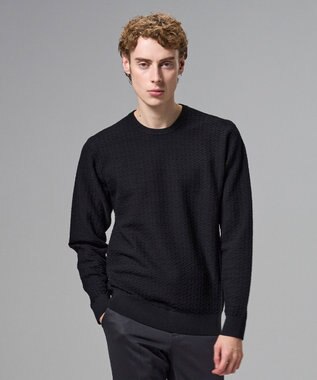 JOSEPH HOMME 新柄【イージーケア】 ヴィスコースリンクス　クルーネックニット