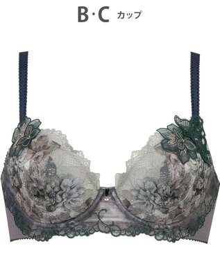 Wing ブラジャー Wing Lesiage サイドすっきり しっかりフィット 【2900シリーズ】 ブラ PB2900 ウイング／ワコール