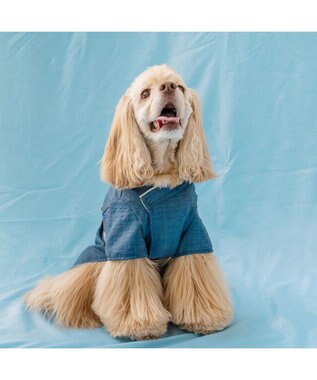 PET PARADISE ペットパラダイス 鯛刺繍 浴衣 中型犬 大型犬 ネイビー