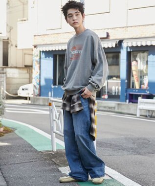 WEGO 【ユニセックス着用ITEM】ピグメントグラフィックプルオーバー 柄3