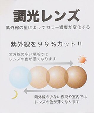 ANY SIS 【WEB限定】調光レンズ サングラス ブラウン