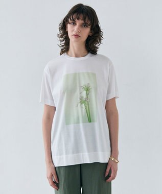 BEIGE， 【洗える・クロワッサン 掲載】PENTAS / オリジナルフォトプリントＴシャツ Agapanthus