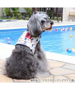 PET PARADISE リサとガスパール 保冷剤ポケット付き ハーネス ＳＭ 中型犬 保冷剤付き