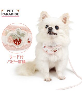  ペットパラダイス リード付き首輪 《いちご》 小型犬