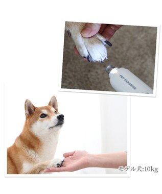 PET PARADISE ペットパラダイス 電動ネイルケア ホワイト