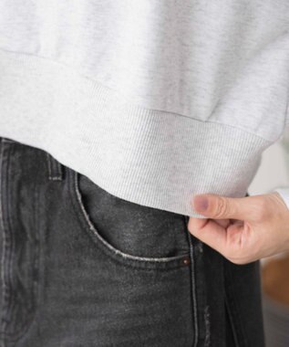 WEGO Vネックラインリブショートスウェット 杢グレー