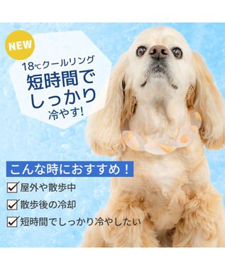PET PARADISE ペットパラダイス １８℃ クールリング ＳＭ 《アイス柄》中型犬 ピンク