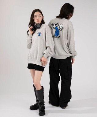 WEGO 【2025年秋冬新作/SMLXLサイズ展開/ユニセックス着用ITEM】アソートグラフィックプルオーバー 柄45