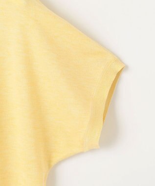 J.PRESS LADIES 【WEB限定カラーあり・洗える】Vis/Peスパーク ラメ ニット イエロー系