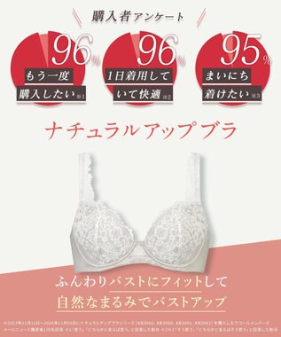 Wing ブラジャー 自然なまるみシルエット ソフトなつけごこち 【ナチュラルアップブラ】 ブラ KB2062 ウイング／ワコール グレー
